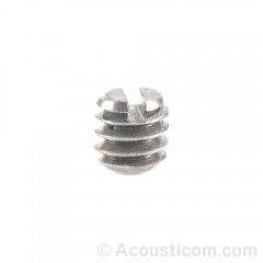 Microphone/Earphone Screw